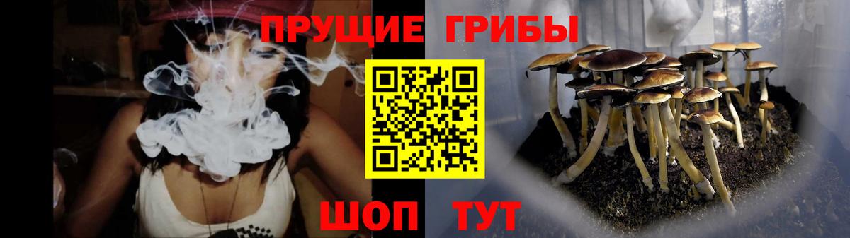Асино  Галлюциногенные грибы ЛСД  Вход с VPN  Галлюциногенные грибы Magic Shrooms 
